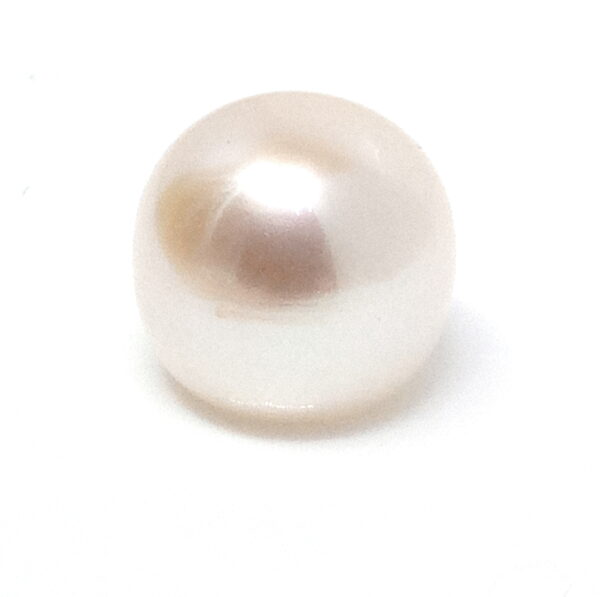 Natural Colours 11-12mm Half Drilled Button Single Pearls