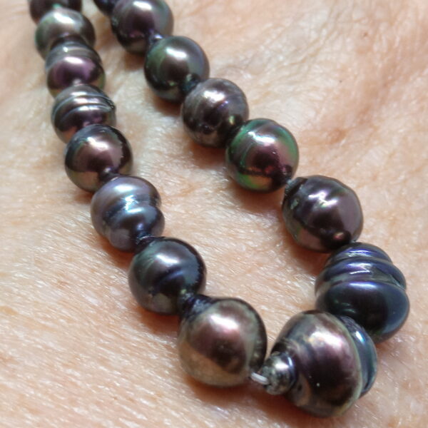 Black Circle Akoya Pearls - Image 4