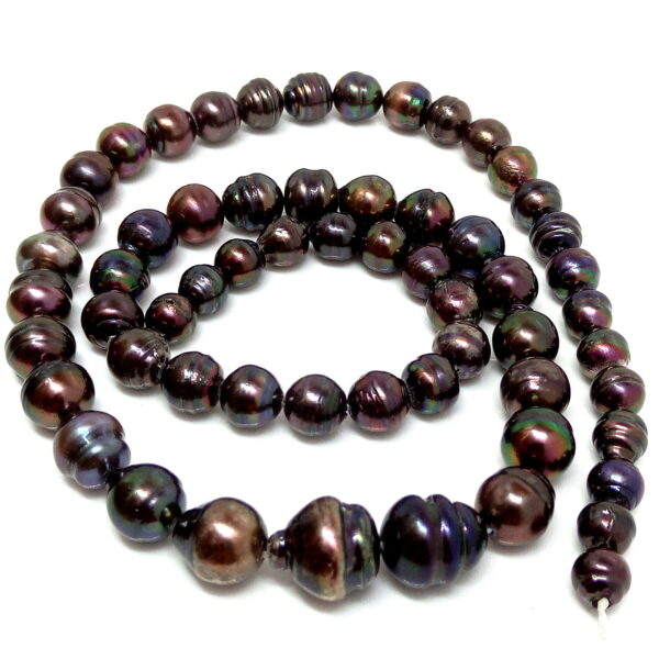 Black Circle Akoya Pearls